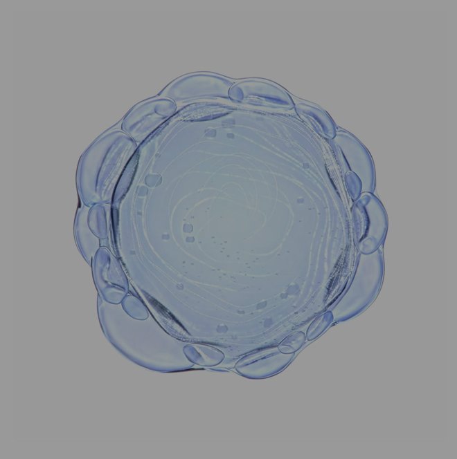 Airlicium ingredient