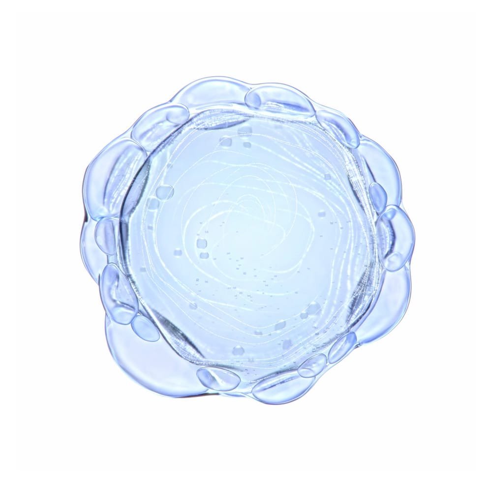 Airlicium ingredient
