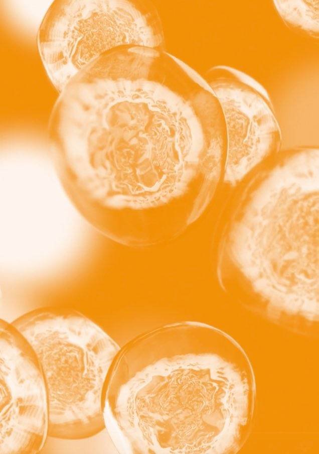 https://www.laroche-posay.nl/-/media/project/loreal/brand-sites/lrp/emea/nl/simple-page/landing-page/anthelios-age-correct-spf50/flipcard-2.jpeg