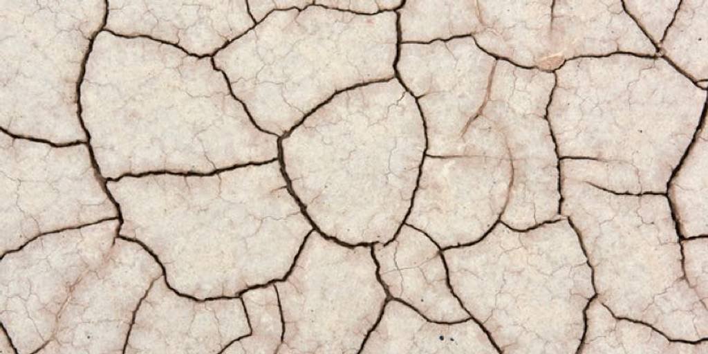 lrp-oncology-2021-sitecore-side_effects_skin-hyperkeratosis_banner
